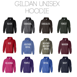 Please Be A Decent Fucking Human Gildan Hoodie